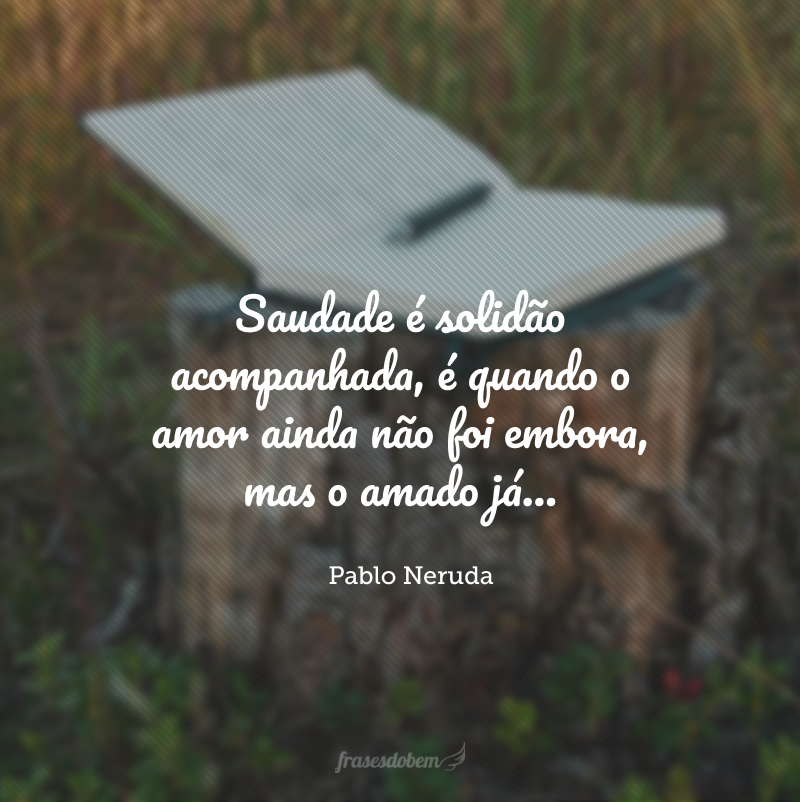 Saudade é solidão acompanhada, é quando o amor ainda não foi embora, mas o amado já…