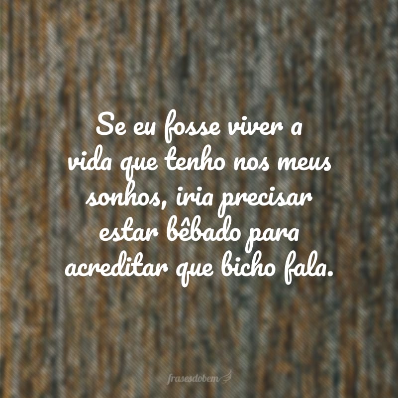 Se eu fosse viver a vida que tenho nos meus sonhos, iria precisar estar bêbado para acreditar que bicho fala.