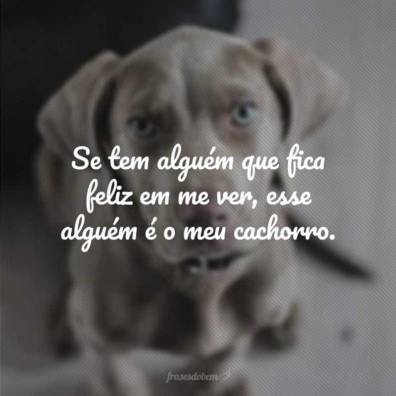 Se tem alguém que fica feliz em me ver, esse alguém é o meu cachorro.