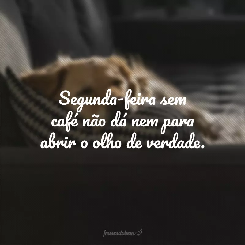 Segunda-feira sem café não dá nem para abrir o olho de verdade.