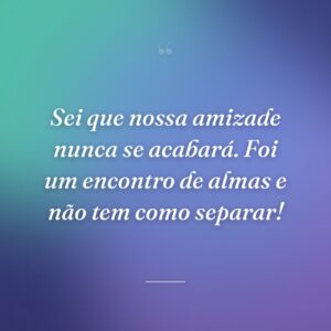 Sei que nossa amizade nunca se acabará. Foi um encontro de almas e não tem como separar!