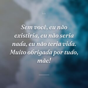 Sem você, eu não existiria, eu não seria nada, eu não teria vida. Muito obrigada por tudo, mãe!