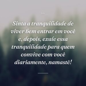 Sinta a tranquilidade de viver bem entrar em você e, depois, exale essa tranquilidade para quem convive com você diariamente, namastê!