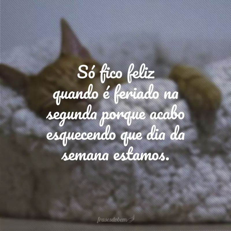 Só fico feliz quando é feriado na segunda porque acabo esquecendo que dia da semana estamos.