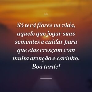 Só terá flores na vida, aquele que jogar suas sementes e cuidar para que elas cresçam com muita atenção e carinho. Boa tarde!