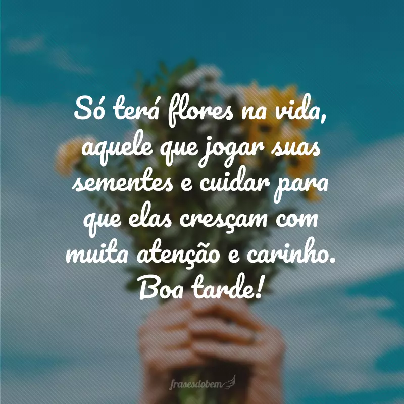 Só terá flores na vida, aquele que jogar suas sementes e cuidar para que elas cresçam com muita atenção e carinho. Boa tarde!