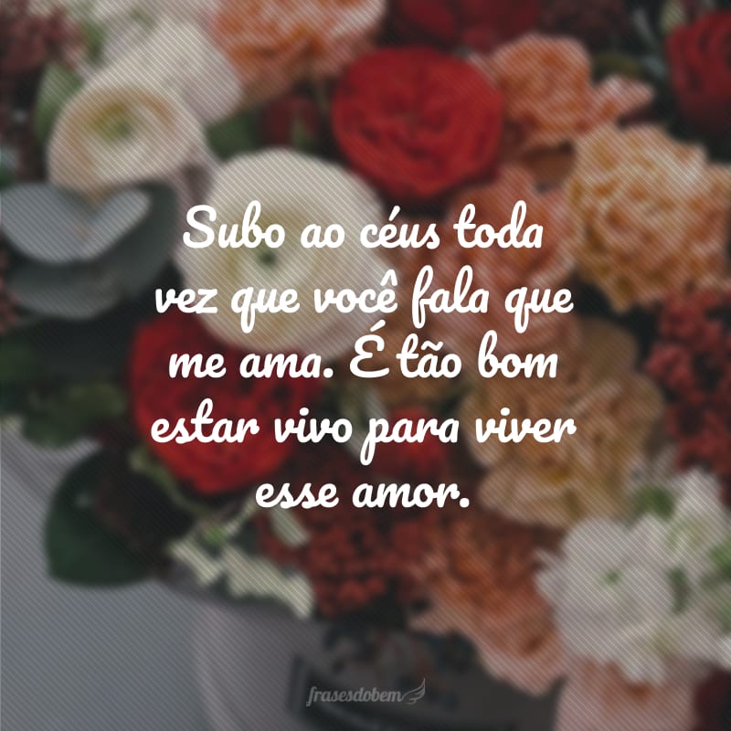 Subo ao céus toda vez que você fala que me ama. É tão bom estar vivo para viver esse amor.