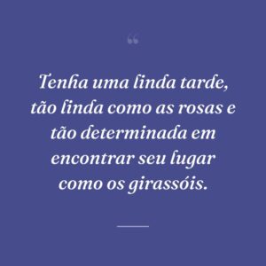 Tenha uma linda tarde, tão linda como as rosas e tão determinada em encontrar seu lugar como os girassóis.