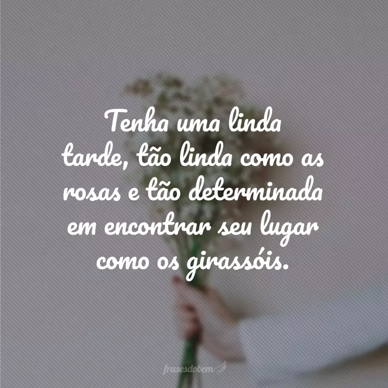 Tenha uma linda tarde, tão linda como as rosas e tão determinada em encontrar seu lugar como os girassóis.