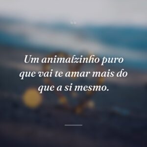Um animalzinho puro que vai te amar mais do que a si mesmo.