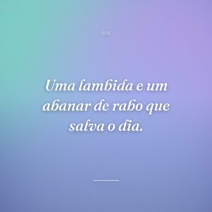 Uma lambida e um abanar de rabo que salva o dia.