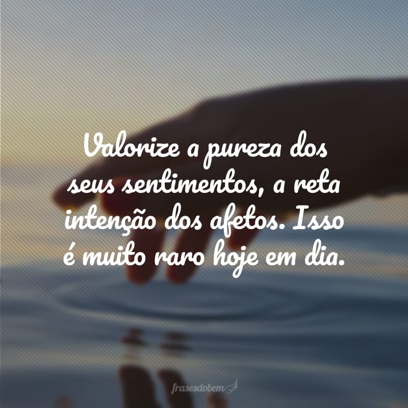 Valorize a pureza dos seus sentimentos, a reta intenção dos afetos. Isso é muito raro hoje em dia. 