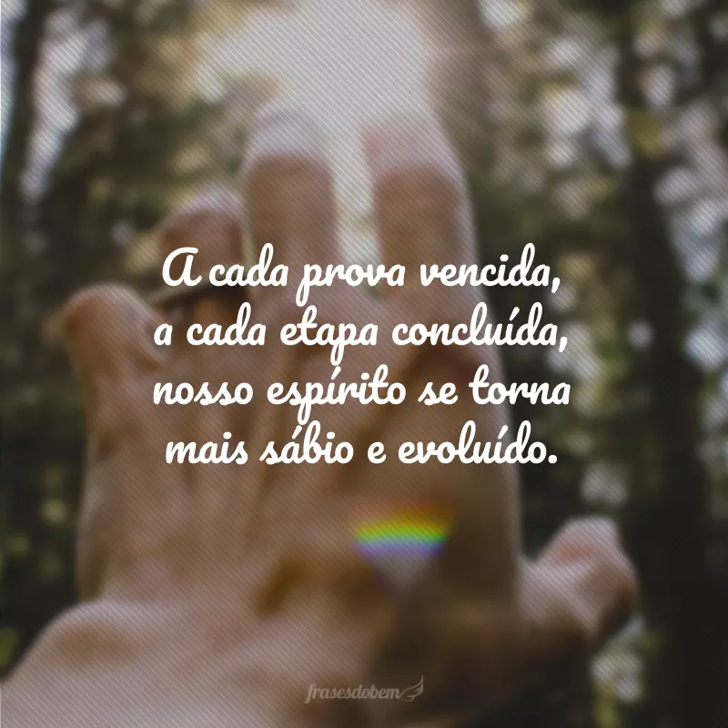 A cada prova vencida, a cada etapa concluída, nosso espírito se torna mais sábio e evoluído.