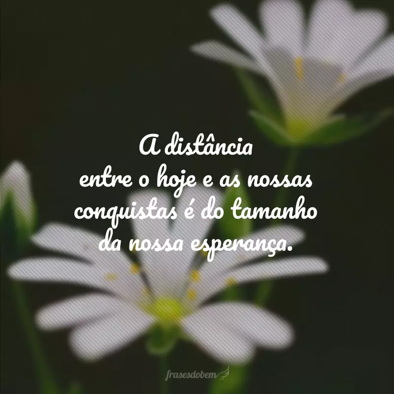 A distância entre o hoje e as nossas conquistas é do tamanho da nossa esperança.