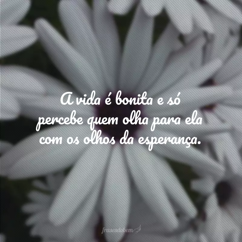 A vida é bonita e só percebe quem olha para ela com os olhos da esperança.