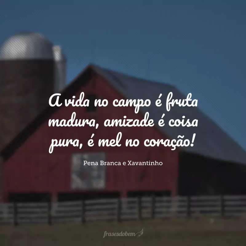 A vida no campo é fruta madura, amizade é coisa pura, é mel no coração!