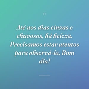 Até nos dias cinzas e chuvosos, há beleza. Precisamos estar atentos para observá-la. Bom dia!