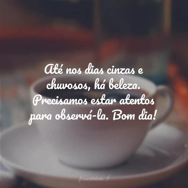 Até nos dias cinzas e chuvosos, há beleza. Precisamos estar atentos para observá-la. Bom dia!