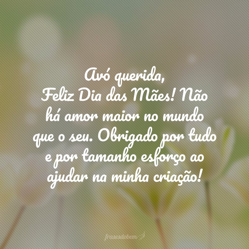 Avó querida, Feliz Dia das Mães! Não há amor maior no mundo que o seu. Obrigado por tudo e por tamanho esforço ao ajudar na minha criação!