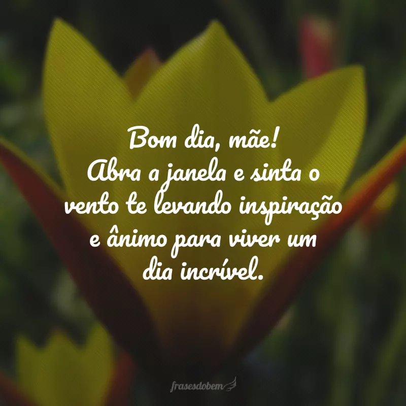 Bom dia, mãe! Abra a janela e sinta o vento te levando inspiração e ânimo para viver um dia incrível.