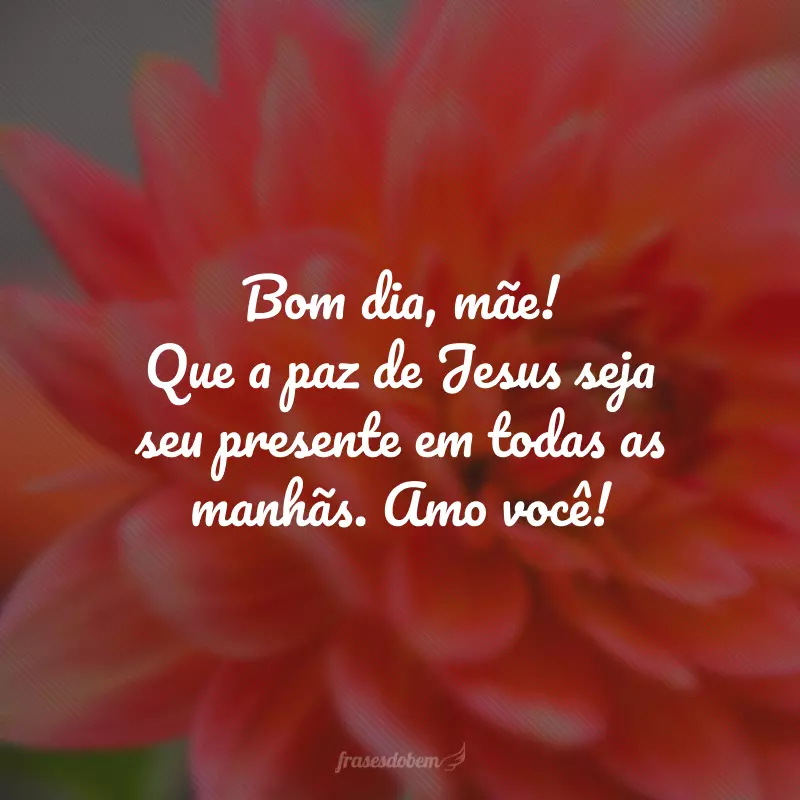 Bom dia, mãe! Que a paz de Jesus seja seu presente em todas as manhãs. Amo você!