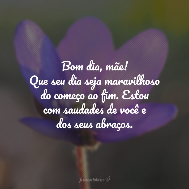 Bom dia, mãe! Que seu dia seja maravilhoso do começo ao fim. Estou com saudades de você e dos seus abraços.