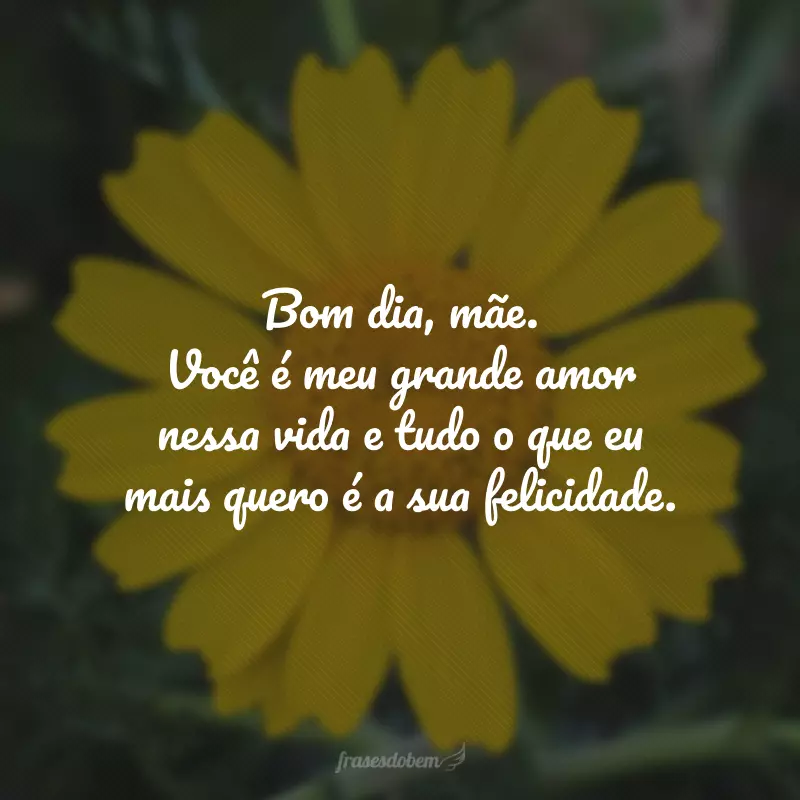 Bom dia, mãe. Você é meu grande amor nessa vida e tudo o que eu mais quero é a sua felicidade. 