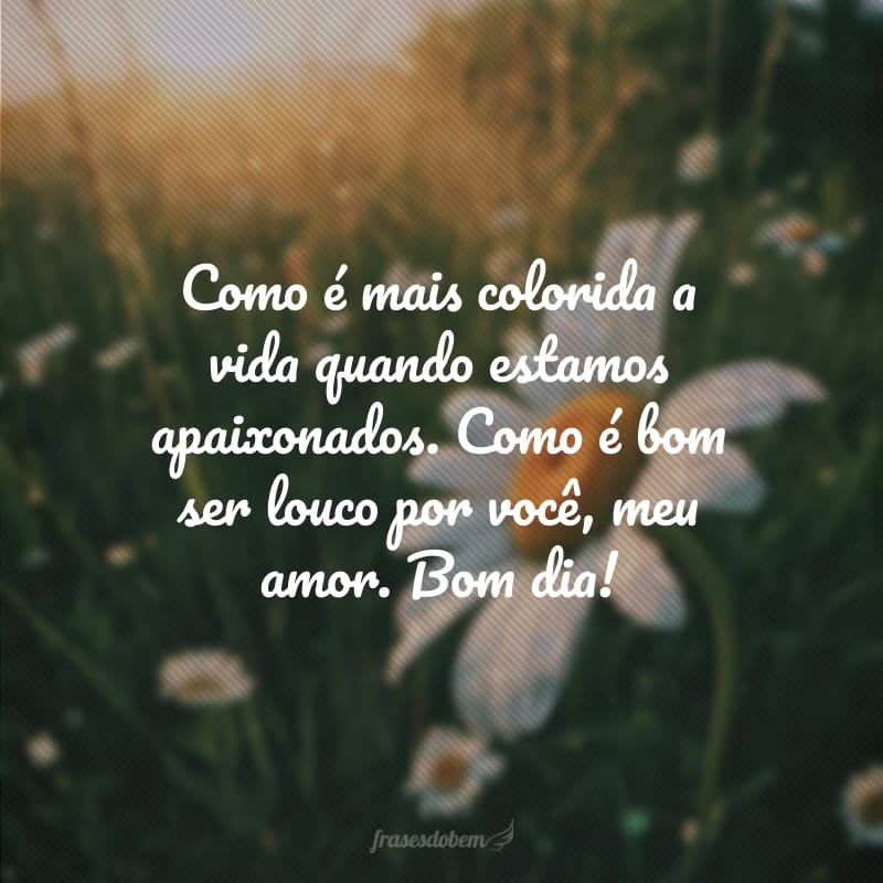 Como é mais colorida a vida quando estamos apaixonados. Como é bom ser louco por você, meu amor. Bom dia!