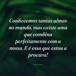 Conhecemos tantas almas no mundo, mas existe uma que combina perfeitamente com a nossa. E é essa que estou a procura!