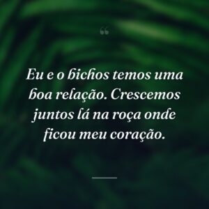 Eu e o bichos temos uma boa relação. Crescemos juntos lá na roça onde ficou meu coração.
