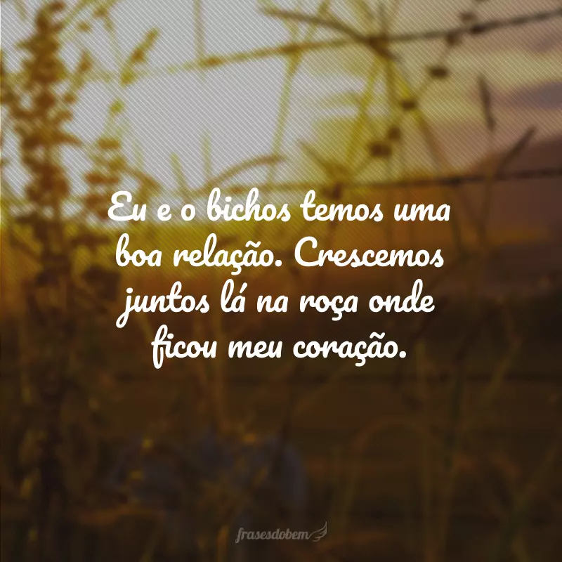 Eu e o bichos temos uma boa relação. Crescemos juntos lá na roça onde ficou meu coração.