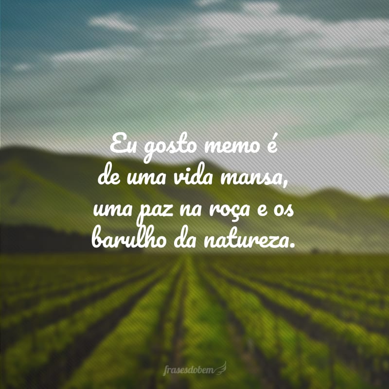 Eu gosto memo é de uma vida mansa, uma paz na roça e os barulho da natureza.