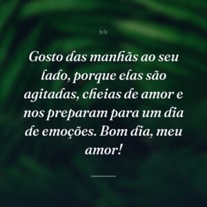 Gosto das manhãs ao seu lado, porque elas são agitadas, cheias de amor e nos preparam para um dia de emoções. Bom dia, meu amor!