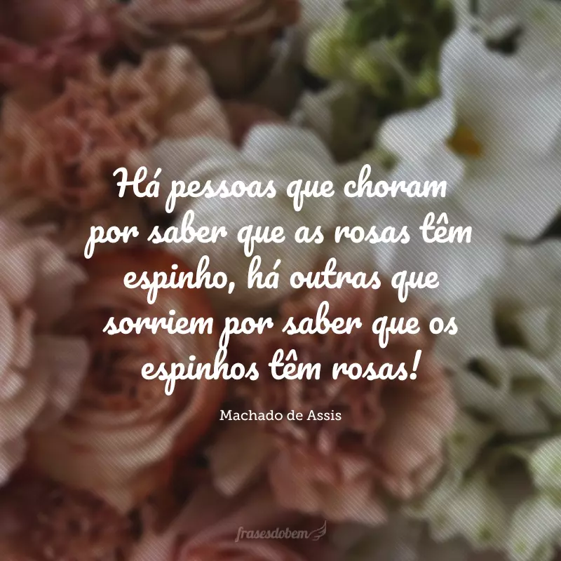 Há pessoas que choram por saber que as rosas têm espinho, há outras que sorriem por saber que os espinhos têm rosas!