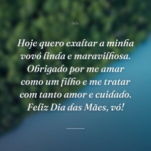 Hoje quero exaltar a minha vovó linda e maravilhosa. Obrigado por me amar como um filho e me tratar com tanto amor e cuidado. Feliz Dia das Mães, vó!