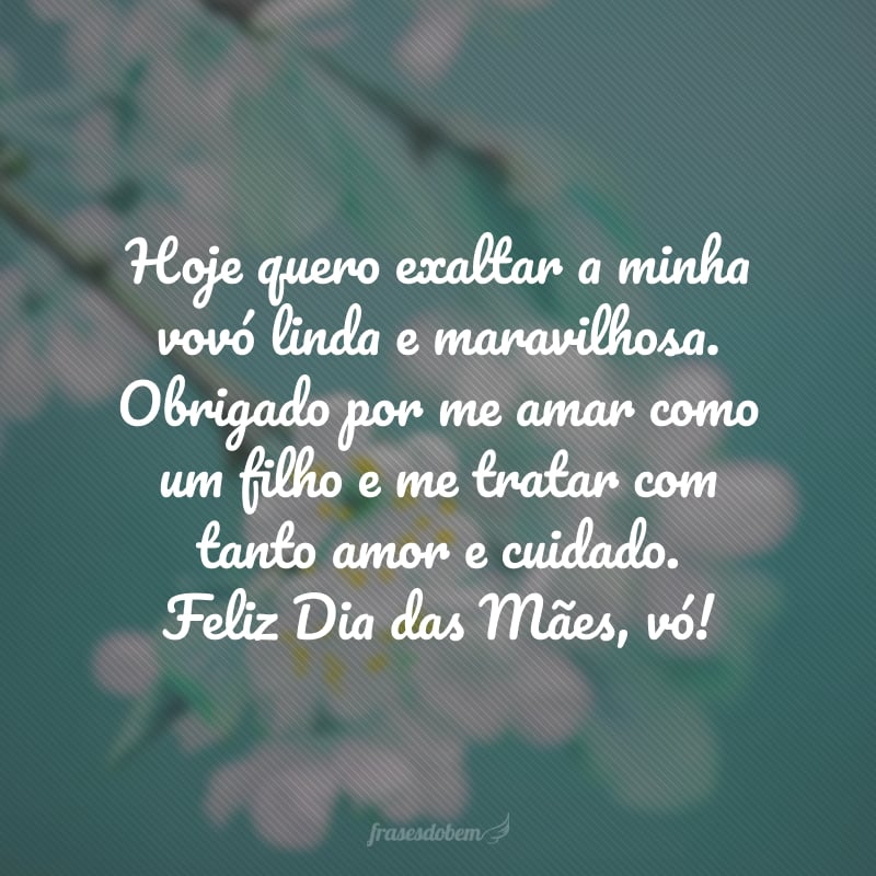 Hoje quero exaltar a minha vovó linda e maravilhosa. Obrigado por me amar como um filho e me tratar com tanto amor e cuidado. Feliz Dia das Mães, vó!