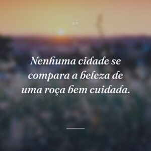 Nenhuma cidade se compara a beleza de uma roça bem cuidada.