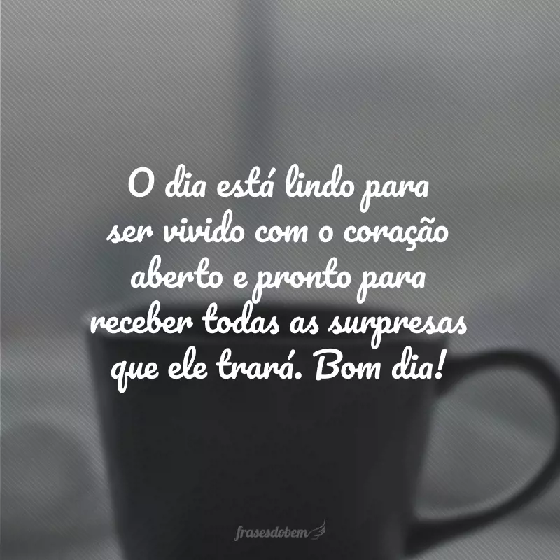 O dia está lindo para ser vivido com o coração aberto e pronto para receber todas as surpresas que ele trará. Bom dia!