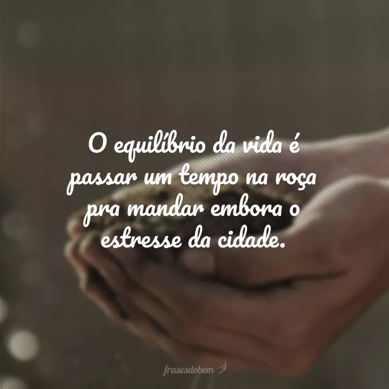 O equilíbrio da vida é passar um tempo na roça pra mandar embora o estresse da cidade.