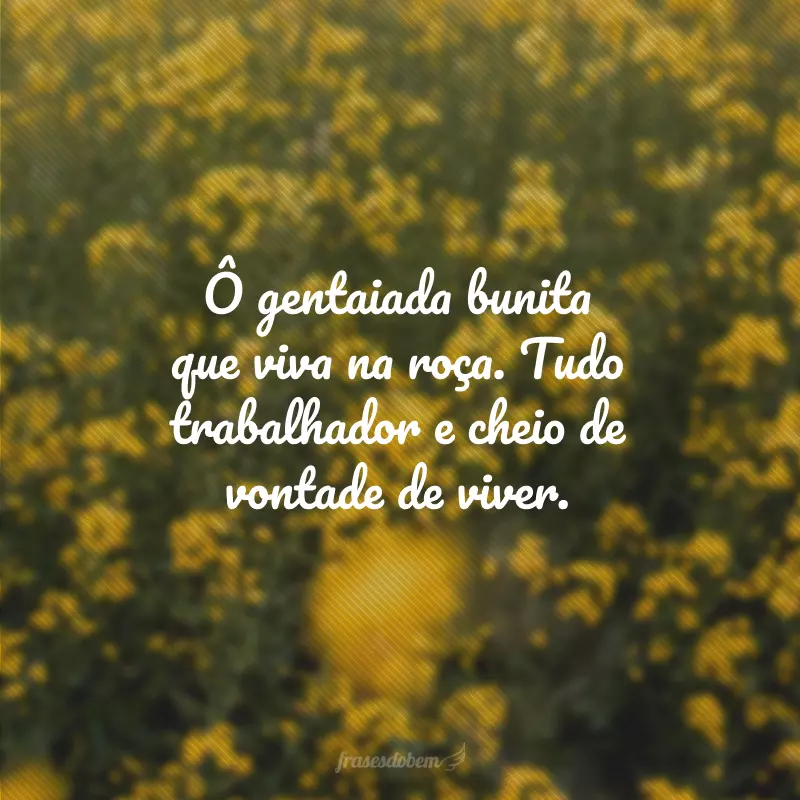 Ô gentaiada bunita que viva na roça. Tudo trabalhador e cheio de vontade de viver.