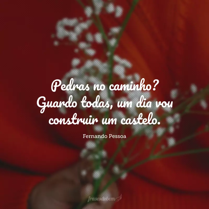 Pedras no caminho? Guardo todas, um dia vou construir um castelo. 