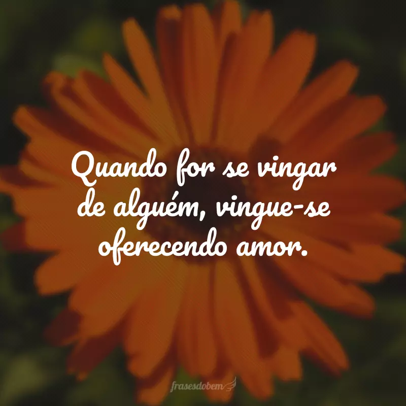 Quando for se vingar de alguém, vingue-se oferecendo amor.