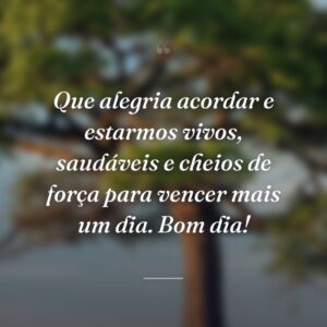 Que alegria acordar e estarmos vivos, saudáveis e cheios de força para vencer mais um dia. Bom dia!
