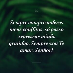 Sempre compreenderes meus conflitos, só posso expressar minha gratidão. Sempre vou Te amar, Senhor!