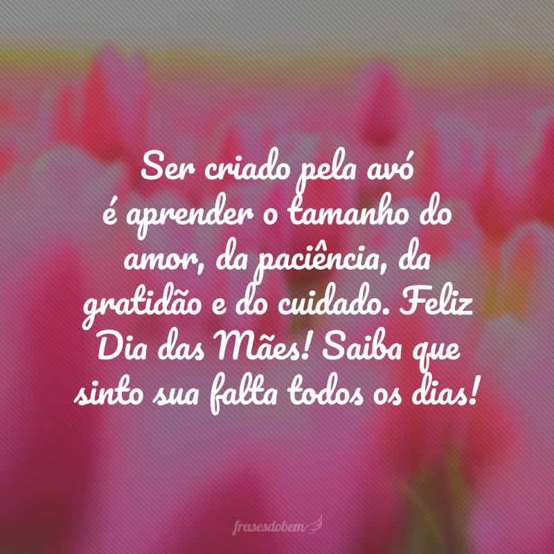 Ser criado pela avó é aprender o tamanho do amor, da paciência, da gratidão e do cuidado. Feliz Dia das Mães! Saiba que sinto sua falta todos os dias!