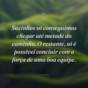 Sozinhos só conseguimos chegar até metade do caminho. O restante, só é possível concluir com a força de uma boa equipe.