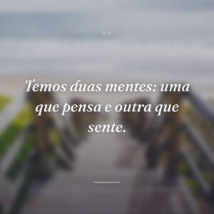 Temos duas mentes: uma que pensa e outra que sente.