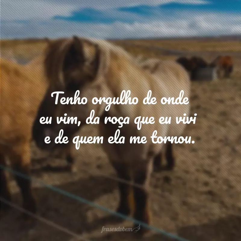 Tenho orgulho de onde eu vim, da roça que eu vivi e de quem ela me tornou.