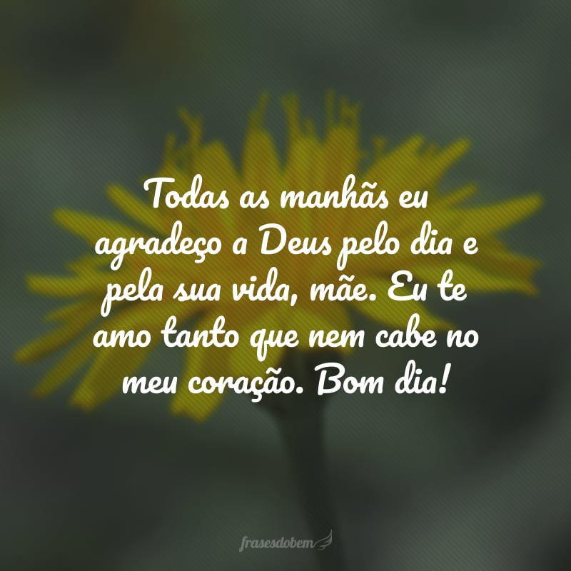 Todas as manhãs eu agradeço a Deus pelo dia e pela sua vida, mãe. Eu te amo tanto que nem cabe no meu coração. Bom dia!