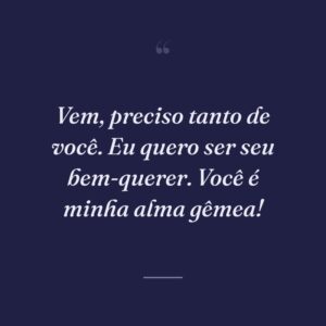Vem, preciso tanto de você. Eu quero ser seu bem-querer. Você é minha alma gêmea!